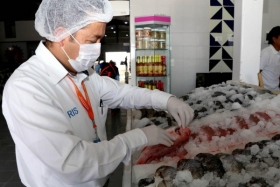 Hasta la fecha se han realizado 162 visitas de condiciones sanitarias a establecimientos de venta y preparación de pescados y mariscos