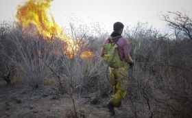 Brigadistas y voluntarios combaten el fuego   