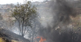 Brigadistas y voluntarios combaten el fuego 