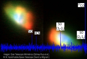 Detectan diversidad molecular