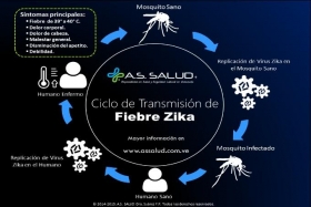 Autoridades exhortan prevenir picadura de mosquito