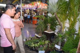 Plantas de belleza ex&oacute;tica en el vivero de la Feria de Puebla 2016