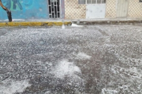 Varias calles se tiñeron de blanco  