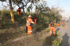 Jornada de limpieza integral en Avenida Casuarinas