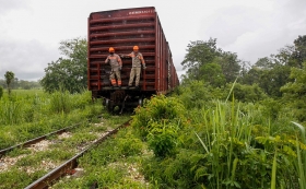 Unesco vigilará patrimonio histórico en zona del Tren Maya