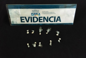 Envolturas con cocaína